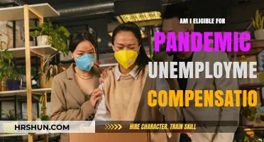 Navigating Pandemic Unemployment Compensation: Am I Eligible?