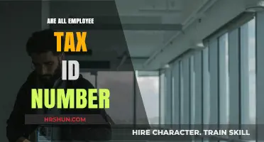Decoding Employee Tax IDs: A Comprehensive Guide for Employers
