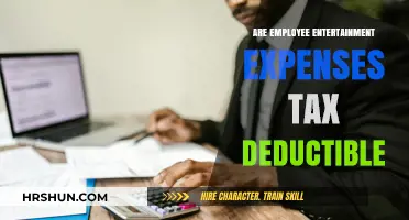 Unraveling the Tax Deduction Mystery: Employee Entertainment Expenses Explained
