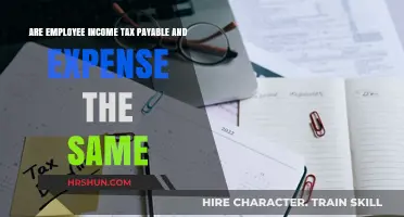 Understanding the Relationship Between Employee Income Tax and Expenses