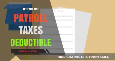 Decoding Employee Payroll Taxes: Are They Deductible?