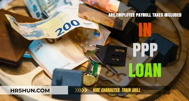 Understanding PPP Loans: Do They Cover Employee Payroll Taxes?