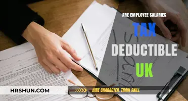 Unlocking the Tax Benefits: Employee Salaries in the UK