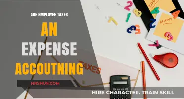 Decoding Employee Taxes: Expense or Not in Accounting?