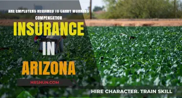 Arizona Workers' Compensation Insurance: Employer Requirements Explained