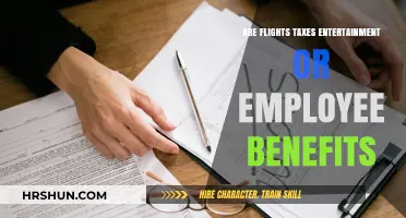 Decoding Flight Taxes: Entertainment or Employee Benefits?
