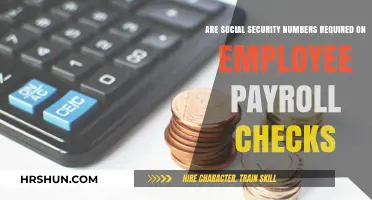 Understanding Payroll Checks: The Role of Social Security Numbers
