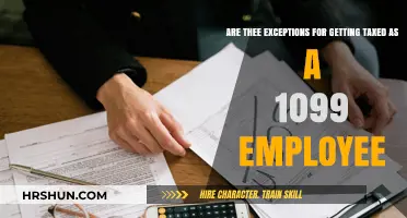 Understanding 1099 Tax Rules: Are There Exceptions?