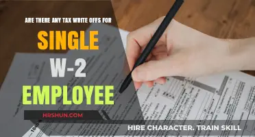 Maximizing Tax Benefits: A Guide for Single W-2 Employees