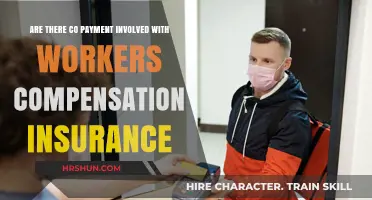 Understanding Co-Payments in Workers' Compensation Insurance Claims
