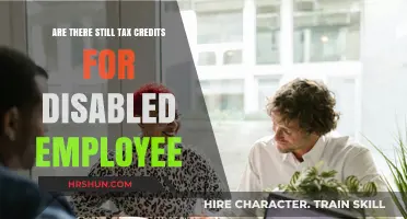 Unlocking Opportunities: Tax Credits for Disabled Employees Explained