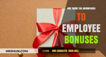 Unlocking Fiscal Benefits: The Tax Advantages of Employee Bonuses