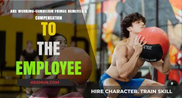 Exploring the Value of Working-Condition Fringe Benefits as Employee Compensation