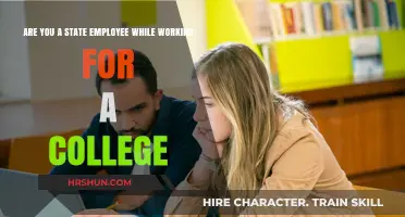 Navigating Dual Roles: State Employment and College Work