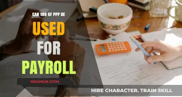 Exploring PPP Loan Usage: Can You Allocate 100% for Payroll?