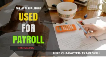 Maximizing PPP Loan Benefits: Payroll Allocation Explained