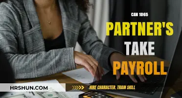 Exploring Payroll Options for 1065 Partners: A Comprehensive Guide