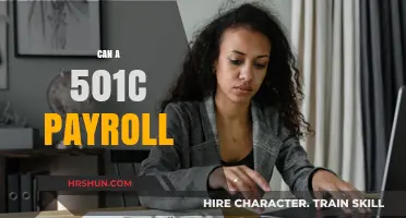 Exploring the Possibilities: Can a 501(c) Organization Offer Payroll Services?