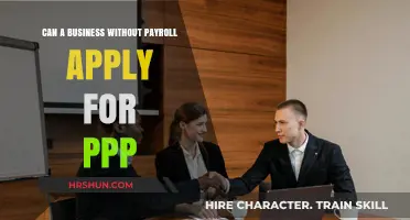Exploring PPP Eligibility: Can Businesses Without Payroll Apply?