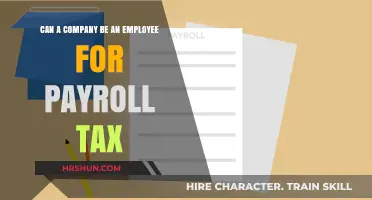 Exploring the Intricacies: Can a Company Qualify as an Employee for Payroll Tax Purposes?