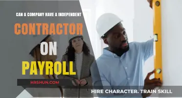 Navigating Payroll: Can Companies Employ Independent Contractors?