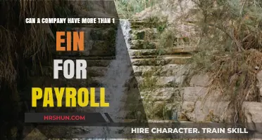 Exploring the Possibility of Multiple EINs for Payroll Purposes