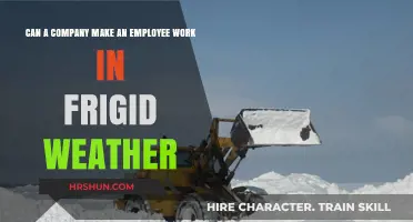 Frigid Work Conditions: Legal and Safety Considerations for Employers