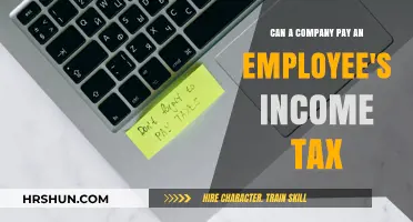 Exploring the Legality and Benefits of Companies Paying Employee Income Tax