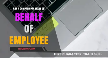 Exploring the Possibility: Can Companies Pay Taxes for Their Employees?