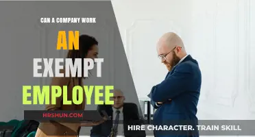 Understanding Exempt Employee Status: A Guide for Companies