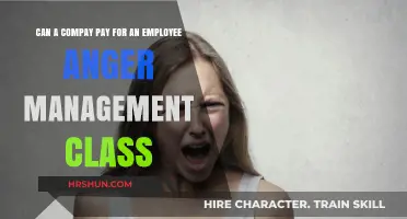 Investing in Emotional Intelligence: Company-Sponsored Anger Management Classes