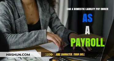 Exploring Payroll Options: Can Domestic Liability Insurance Cover Owner Payments?