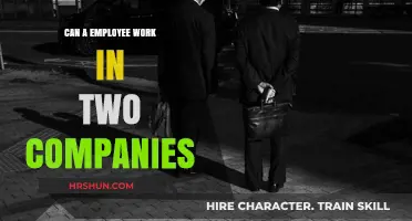 Balancing Act: Can an Employee Work for Two Companies?