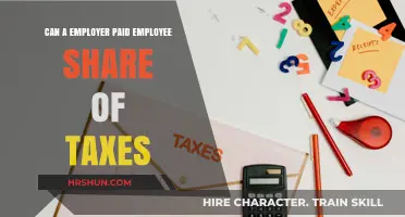 Understanding Employer-Paid Employee Share of Taxes: A Comprehensive Guide