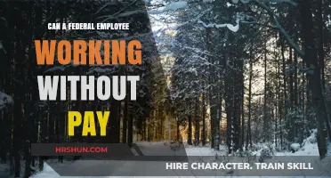 Unpaid Labor: The Reality of Federal Employees Working Without Compensation
