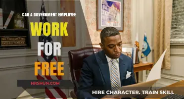 Exploring the Ethics and Legality of Unpaid Government Work