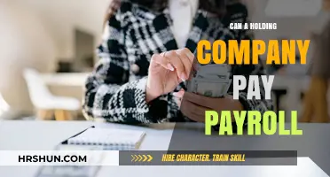 Exploring Payroll Dynamics: Can a Holding Company Pay Employees?