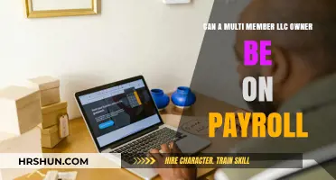 Multi-Member LLC Owner on Payroll: What You Need to Know