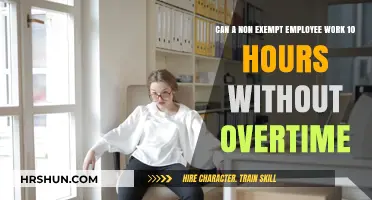 Decoding Labor Laws: Non-Exempt Employees and the 10-Hour Workday