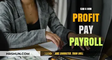 Exploring Payroll Options for Non-Profit Organizations