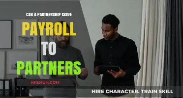 Navigating Partnership Payroll: A Guide for Business Owners
