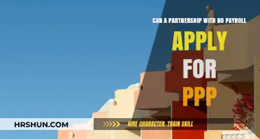 Exploring PPP Eligibility for Partnerships Without Payroll