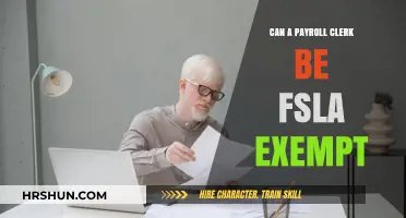 Understanding FLSA Exemptions: Can Payroll Clerks Qualify?