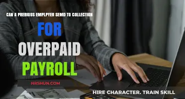 Navigating Payroll Overpayments: Can a Former Employer Pursue Collection?