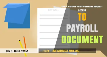 Can Private Audit Firms Request Access to Payroll Documents?