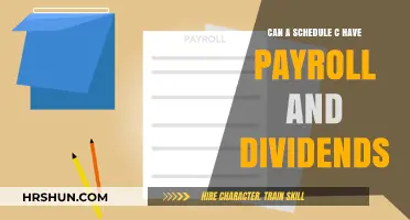 Exploring Schedule C: Payroll and Dividends Explained