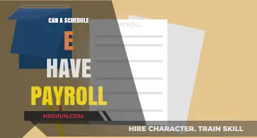 Decoding Schedule E: Can It Handle Payroll?