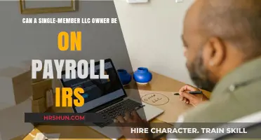 Can a Single-Member LLC Owner Be on Payroll? IRS Guidelines Explained