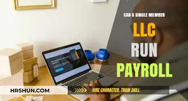 Streamlining Payroll in a Single Member LLC: A Comprehensive Guide