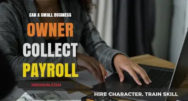 Can Small Business Owners Collect Payroll? A Comprehensive Guide